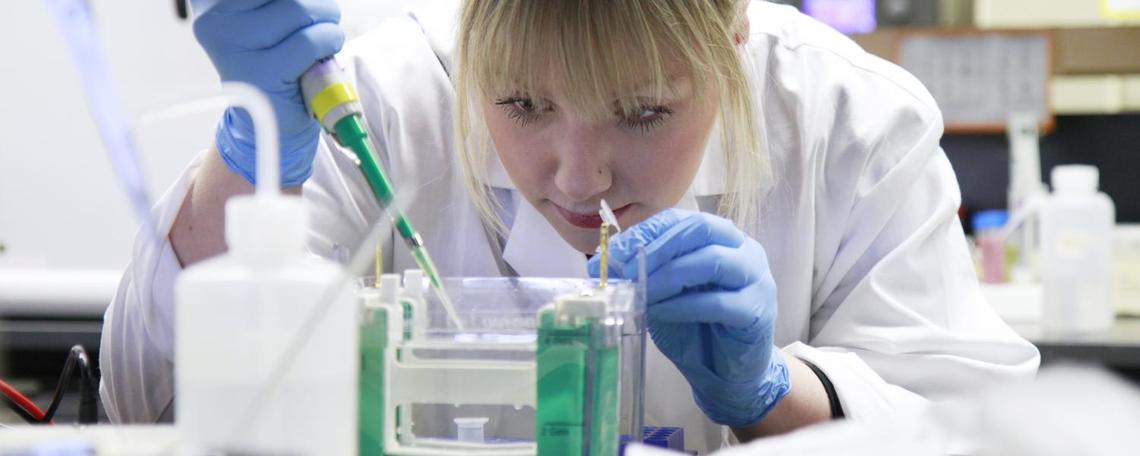 anti-tumour drug research anti-tumour drug research