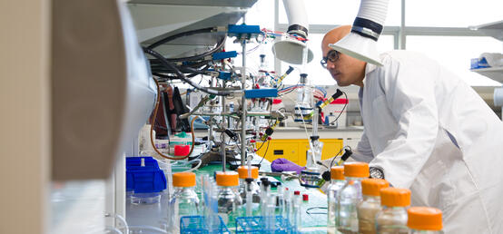 'Externship' initiative links work-hungry Schulich students with hands-on experiences