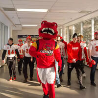 Rex walking down hallway with group of students. 