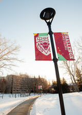Snowy pathway on main campus