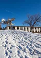 snowy hill leading up to the Prairie Chicken statue