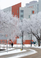 Snowy pathway near a residence building on main campus