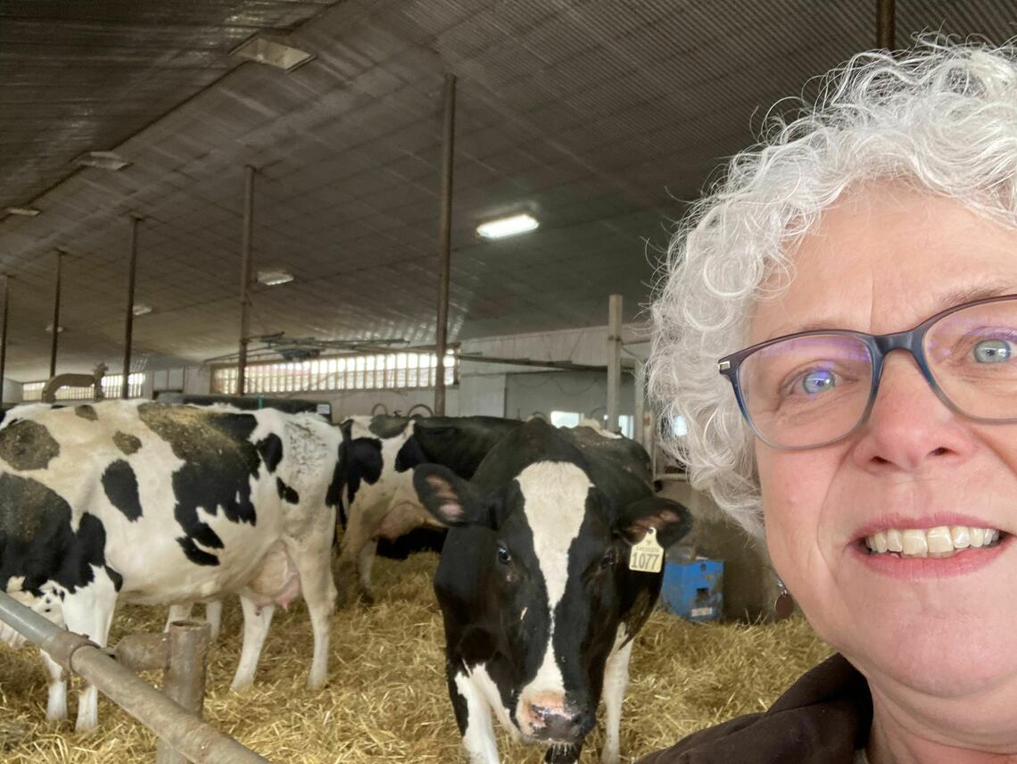 Dr. Orsel next to dairy cow Dr. Orsel next to dairy cow
