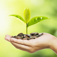 A hand holding a pile of coins with a small sprout growing from it
