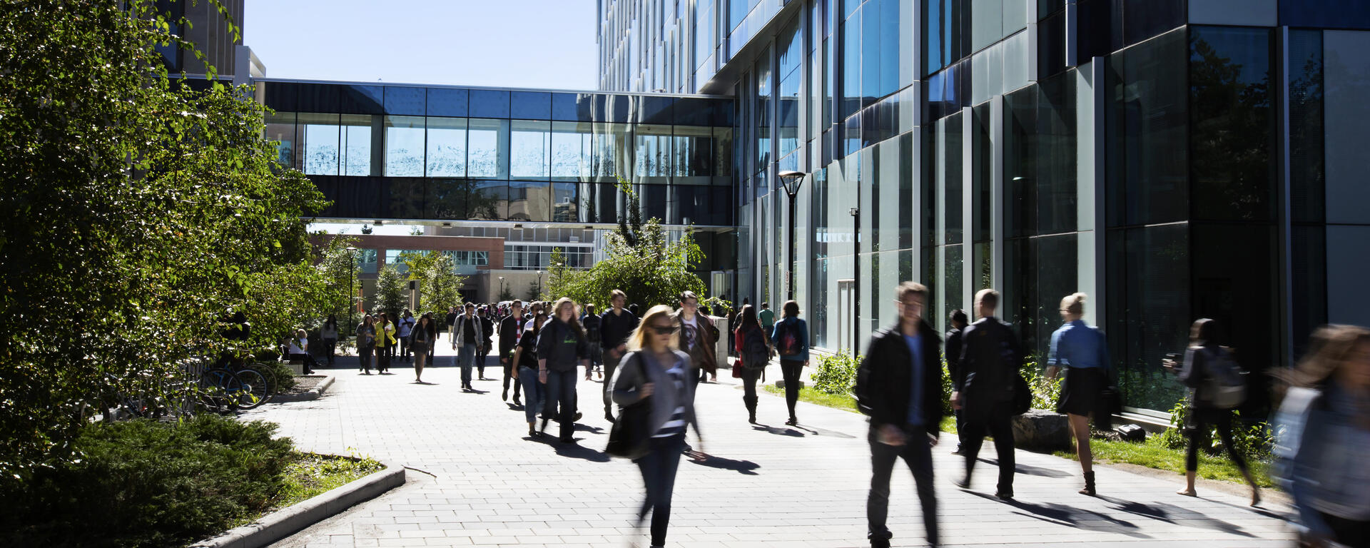 Image of students walking through the underpass between Mackimmie Tower and TFDL