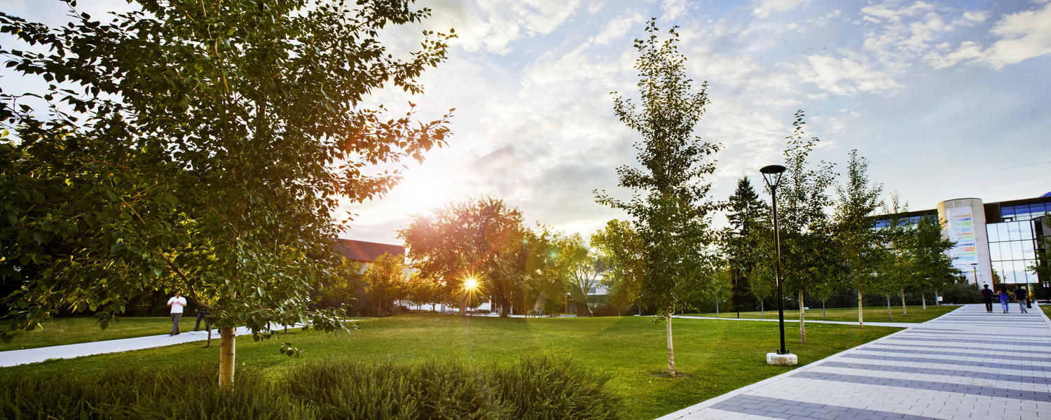 UCalgary campus