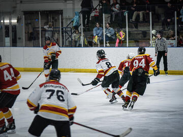 A shot of the hockey game
