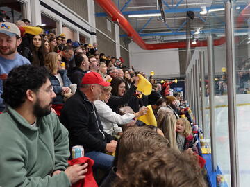 Audience members watching a hockey game