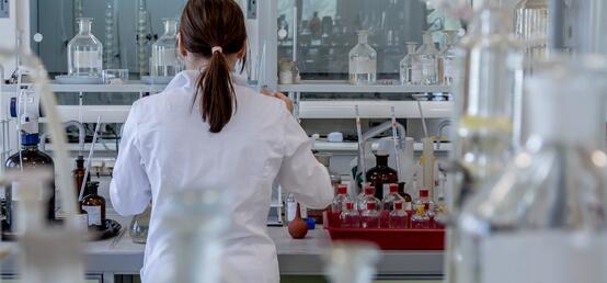 Approaching Undergraduate Research