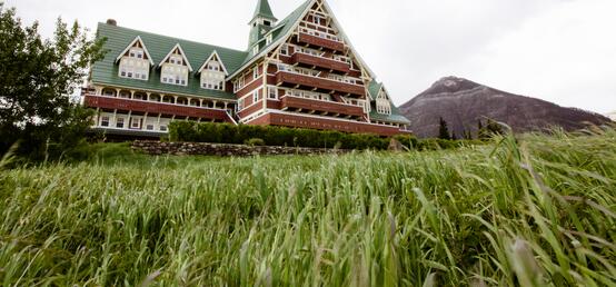 Three day trips to explore Alberta