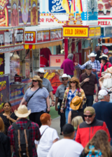 Crowd at Stampede